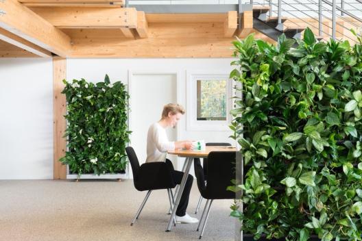 NextGen lebende Pflanzenwand als mobiler Raumteiler